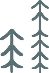 2 Trees