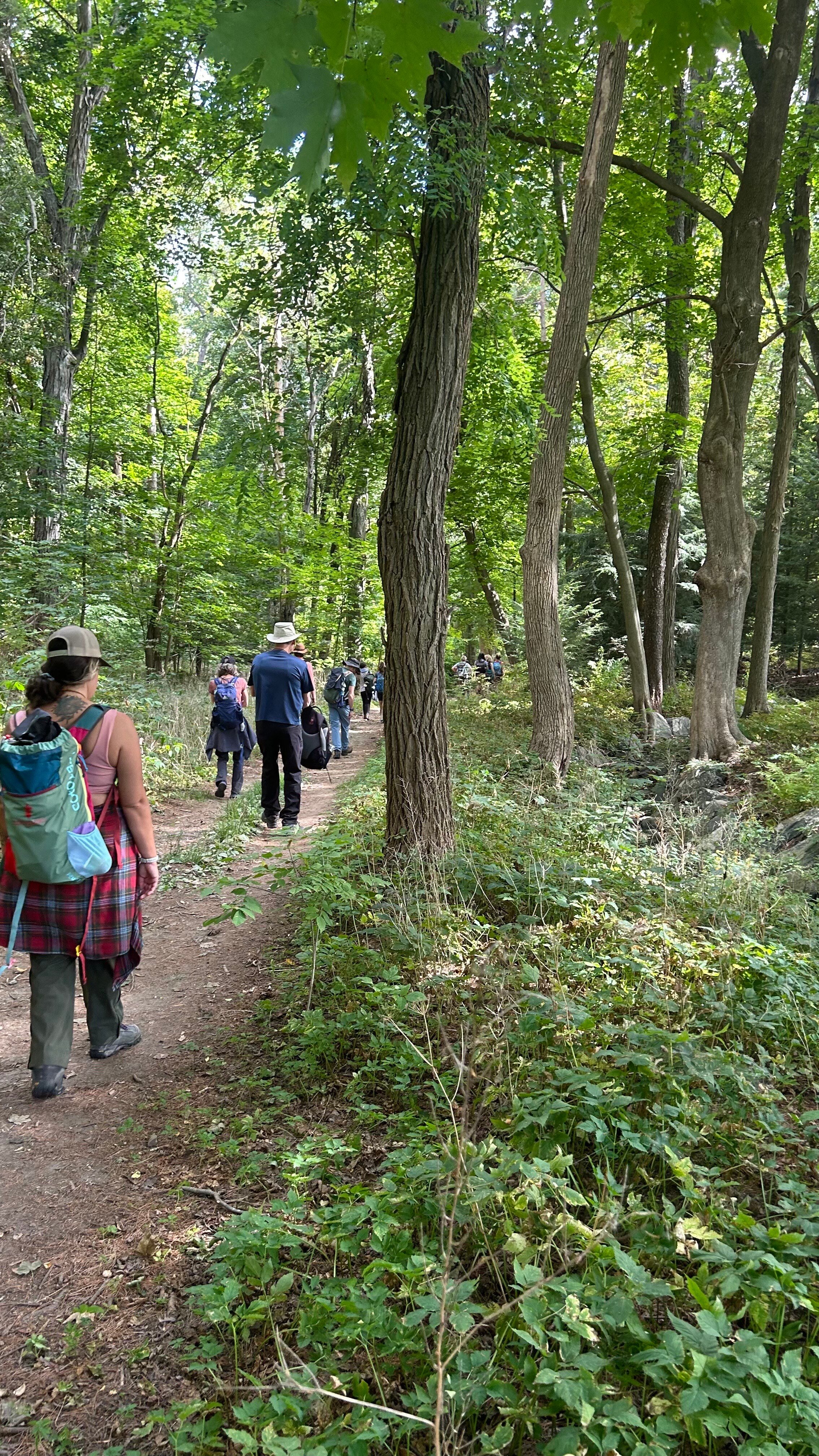 Guided Nature Walks