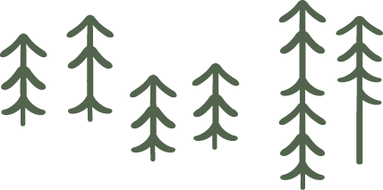 Pine Trees