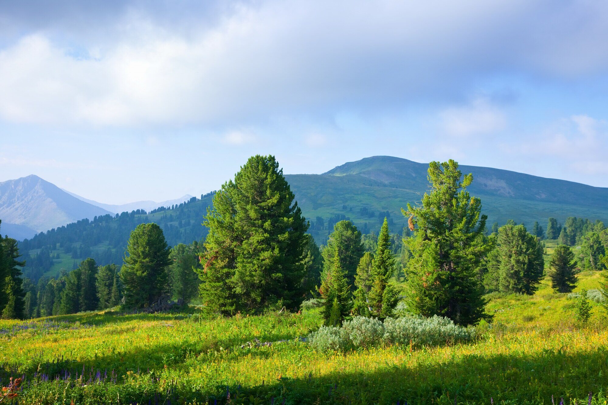 Nature Surrounds You